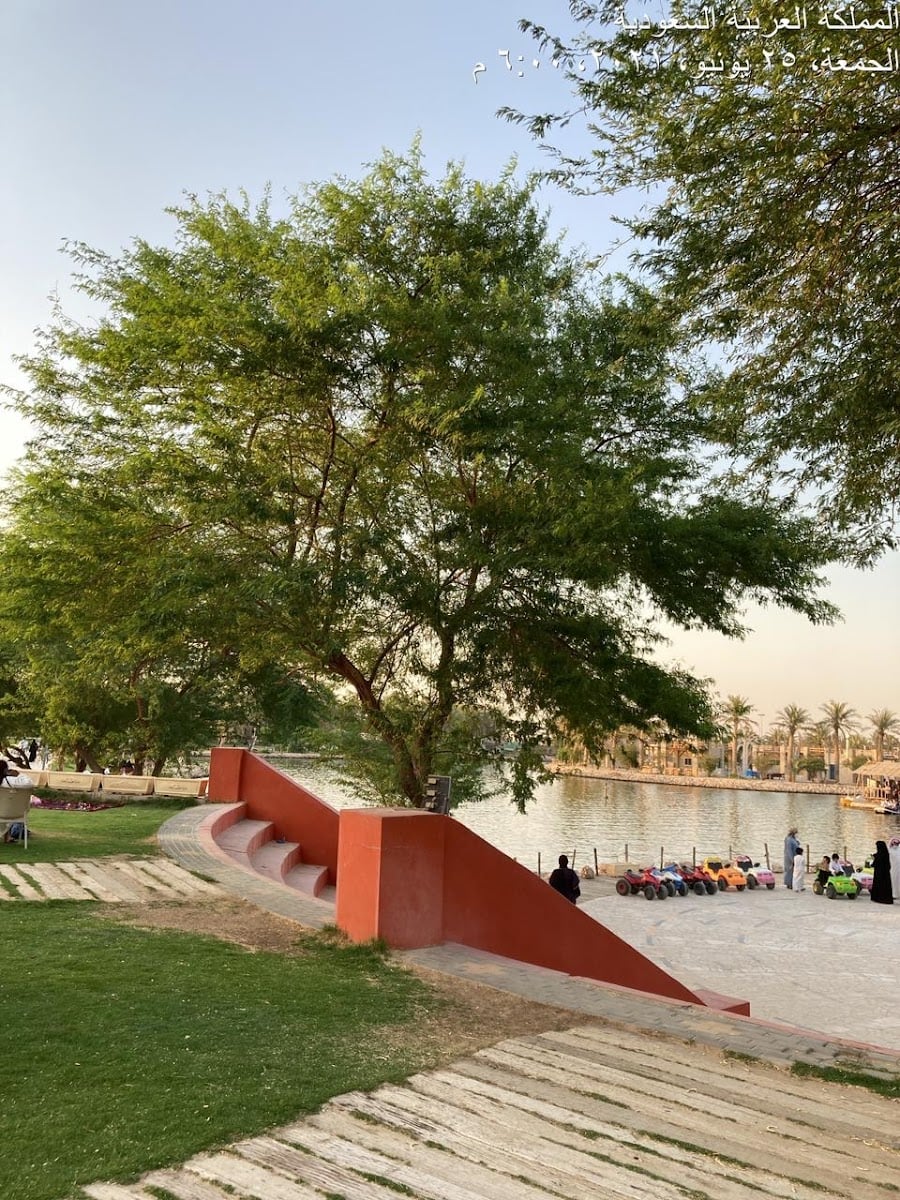 الاحساء
