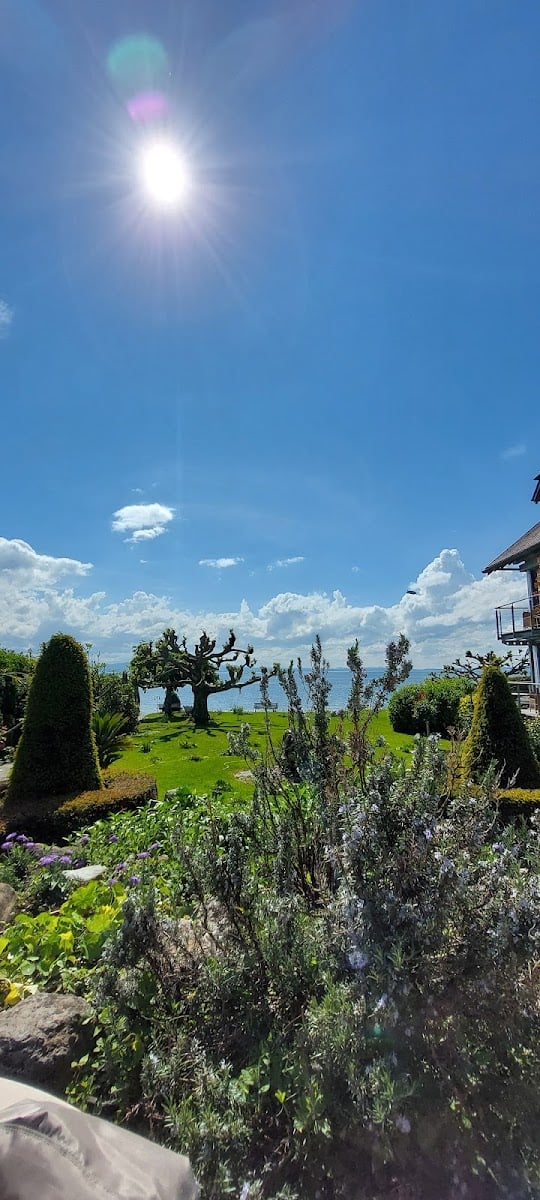 Gartenstudio Haus am See