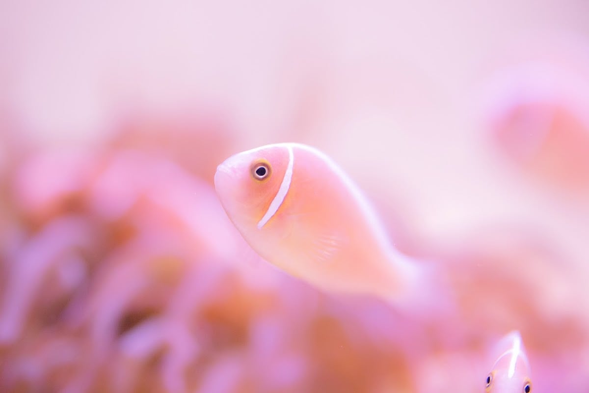 鳥羽水族館