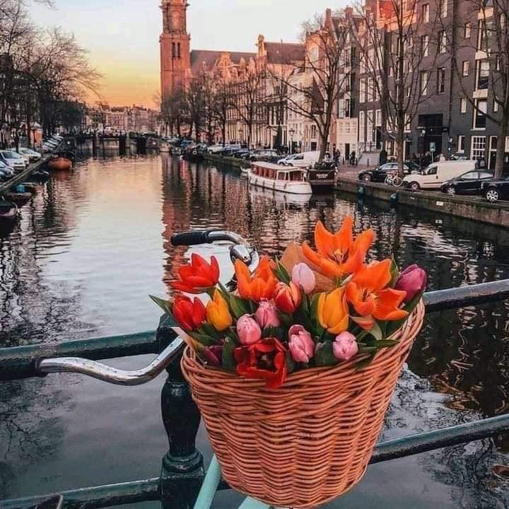 amsterdam.