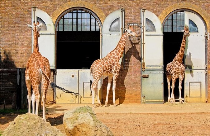 Zoológico de Londres