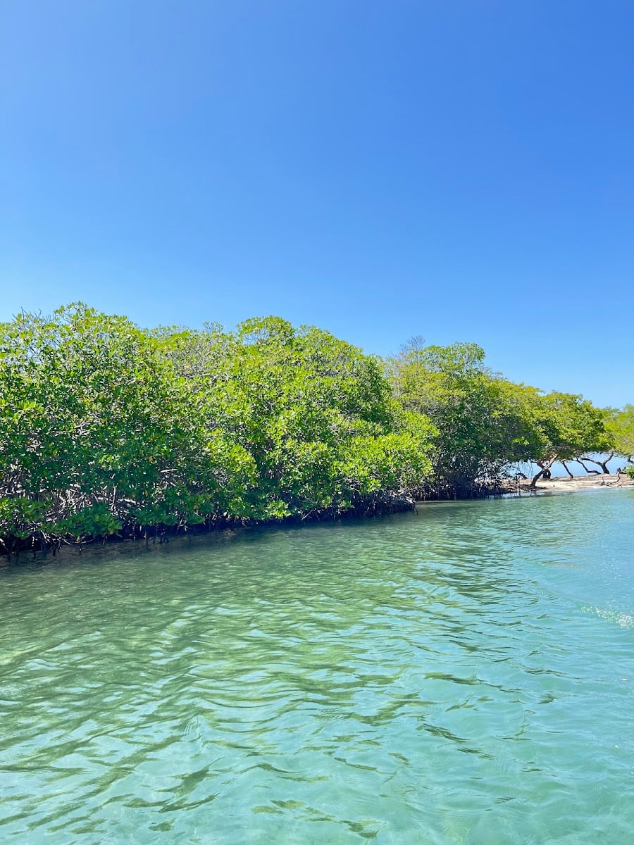Morrocoy