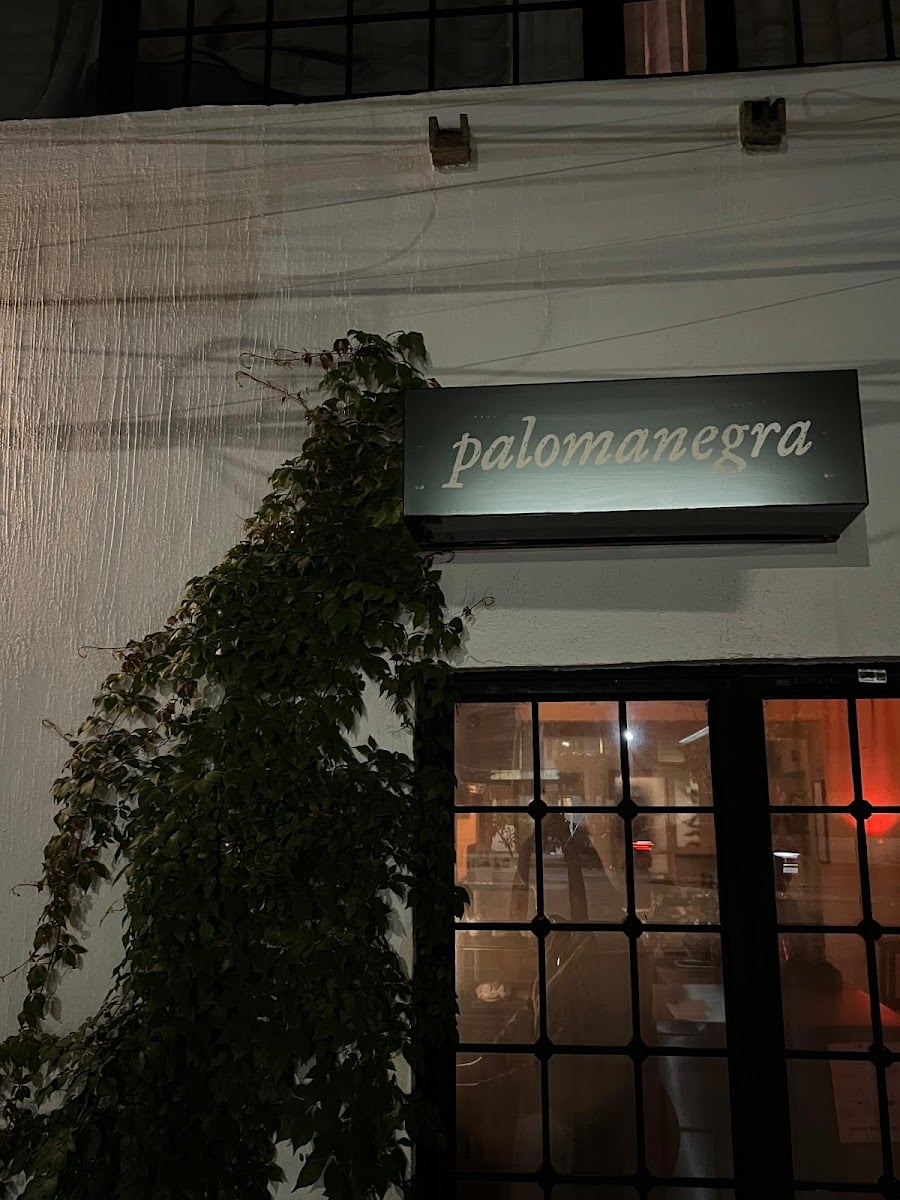 Palomanegra
