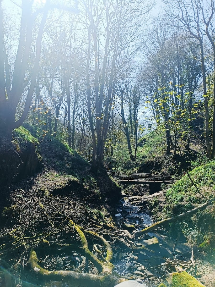 Fairy Glen