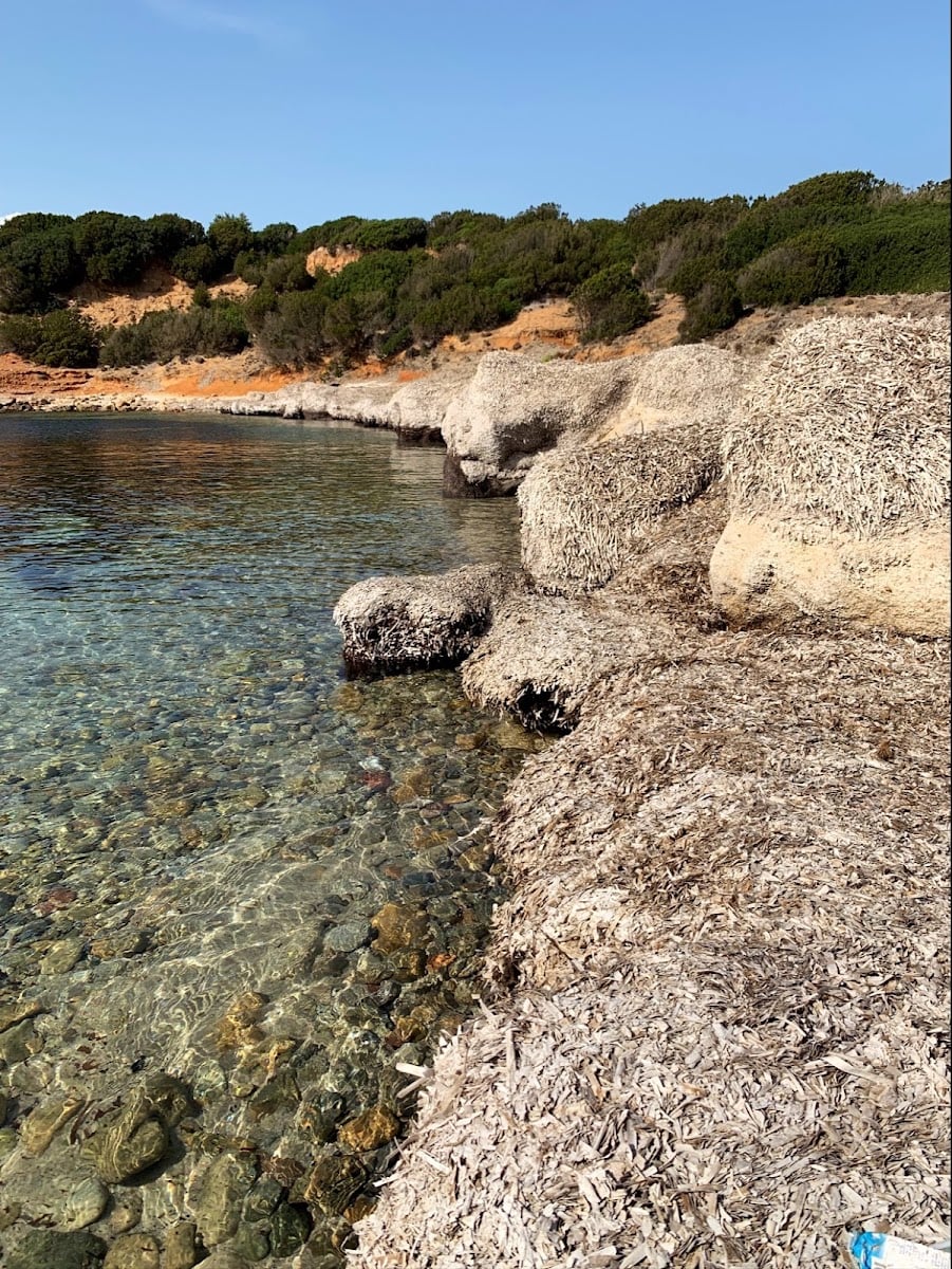 Cala su Turcu