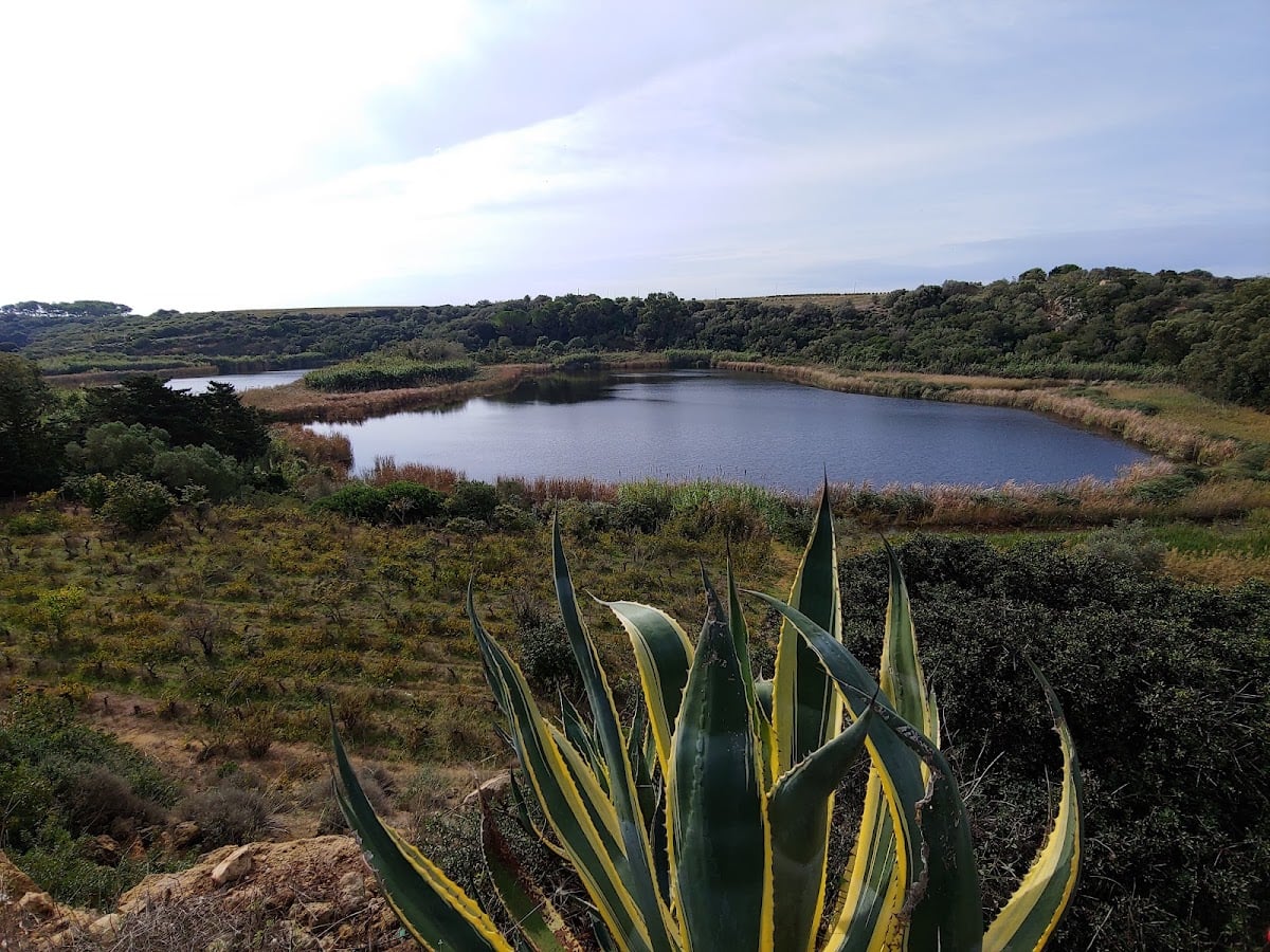 Riserva Naturale Integrale Lago Preola e Gorghi Tondi