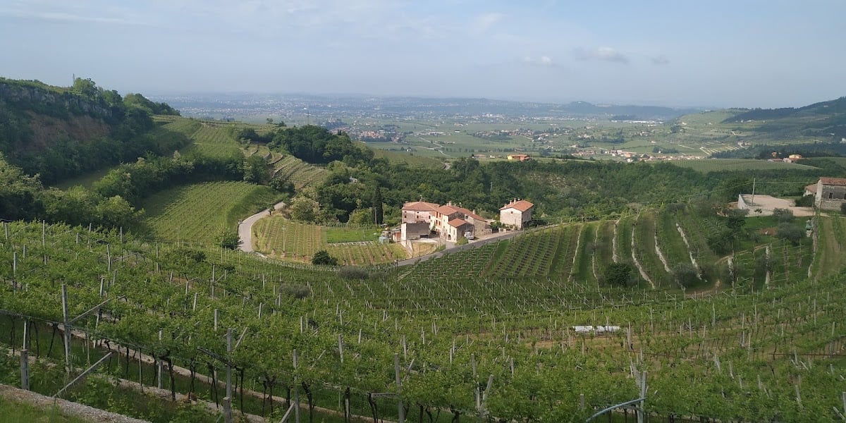 Verona