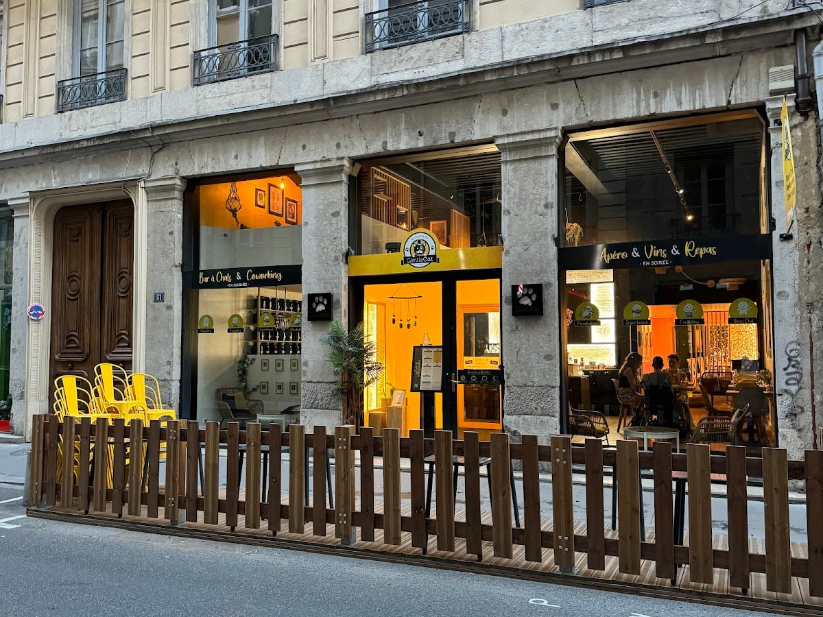 Le GentleCat · restaurant · bar à chats · bar à jeux · brunch · salon de thé (interdit moins de 12 ans)