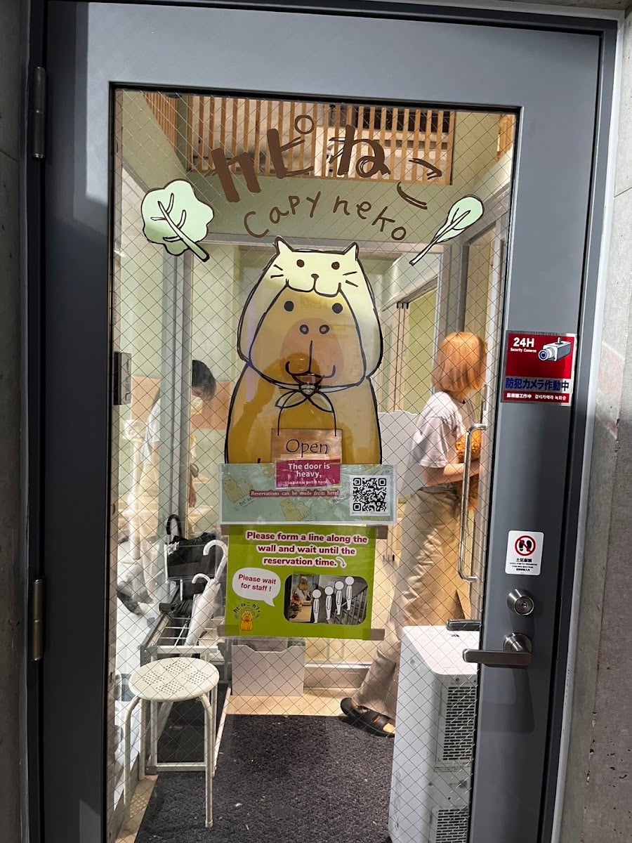 Capyneko Harajuku | Capybara & Cat - Tokyo