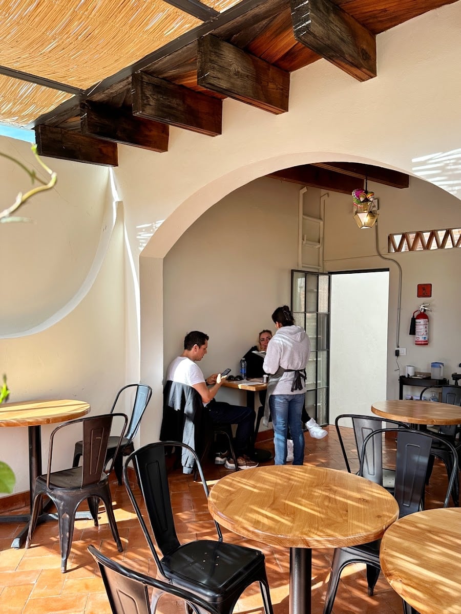 Lavanda Café de Especialidad