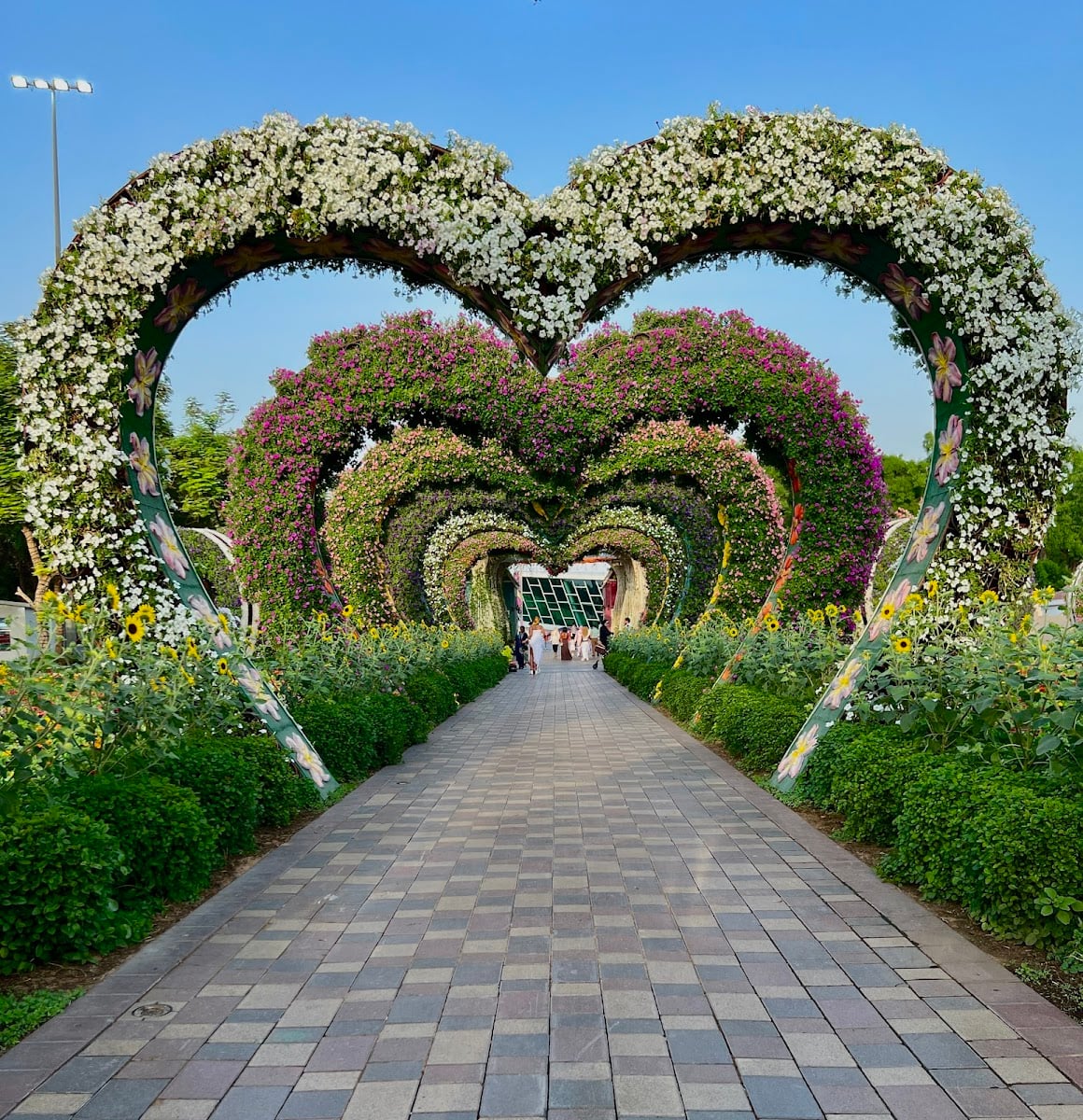 Dubai Miracle Garden