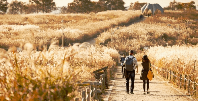 Haneul Park