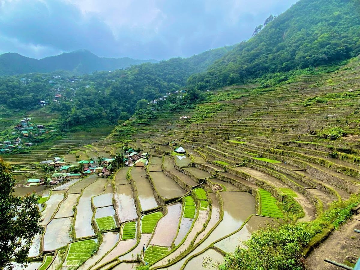 Batad Rice Terraces
