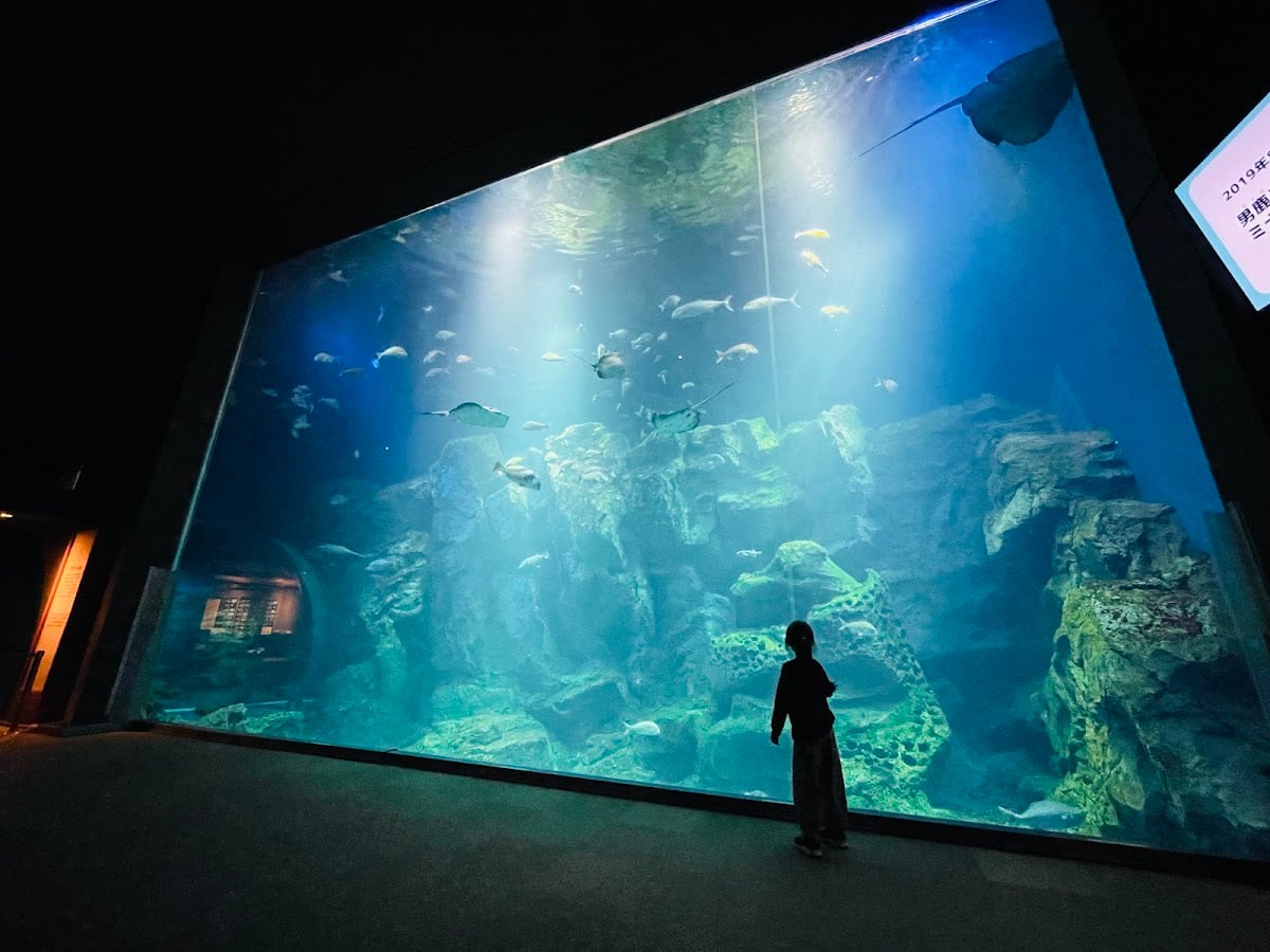 男鹿水族館GAO