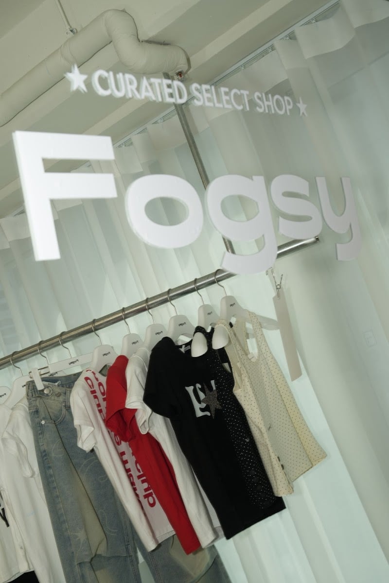 Fogsy