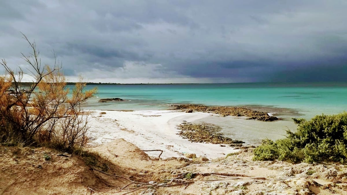 Parco Naturale Regionale Isola di Sant'Andrea e litorale di Punta Pizzo