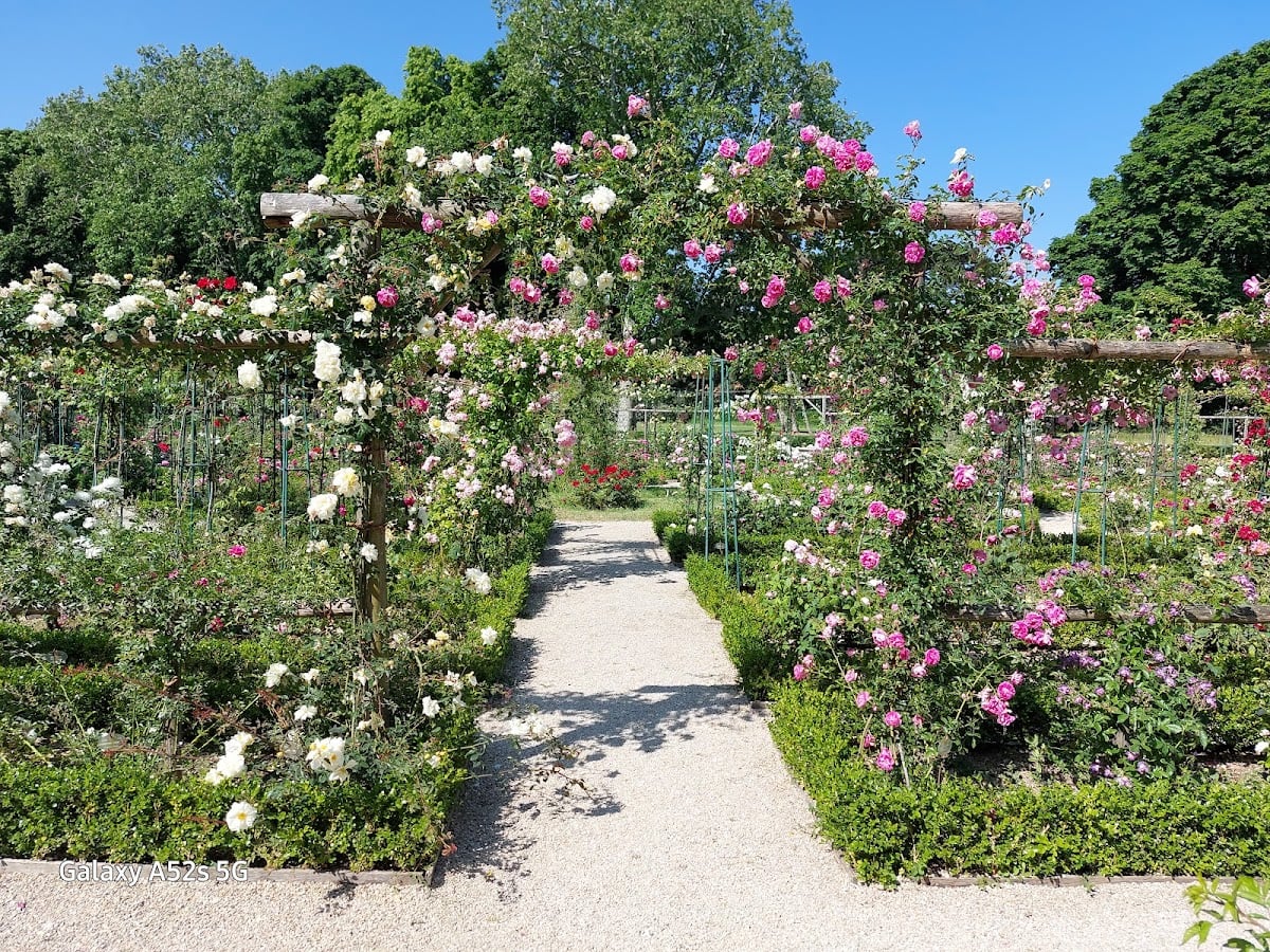 Roseraie du Val-de-Marne