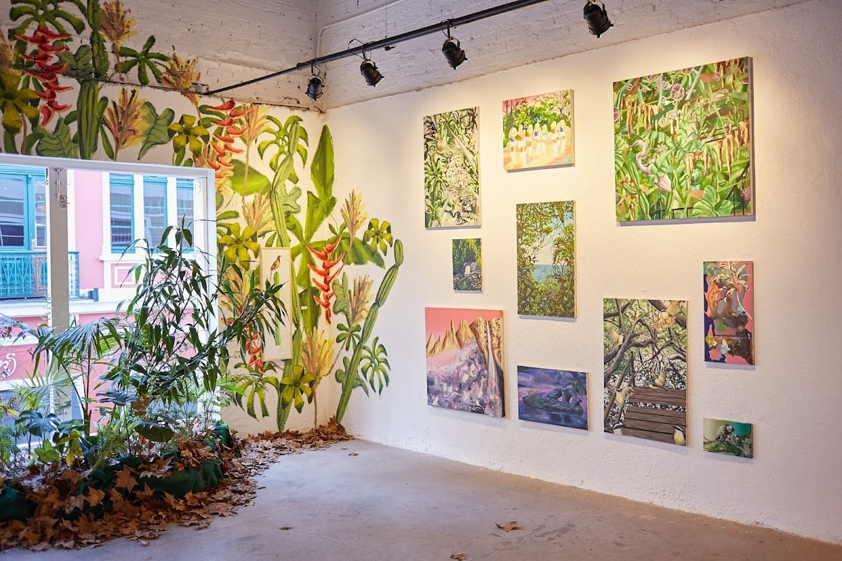 Soma Galeria