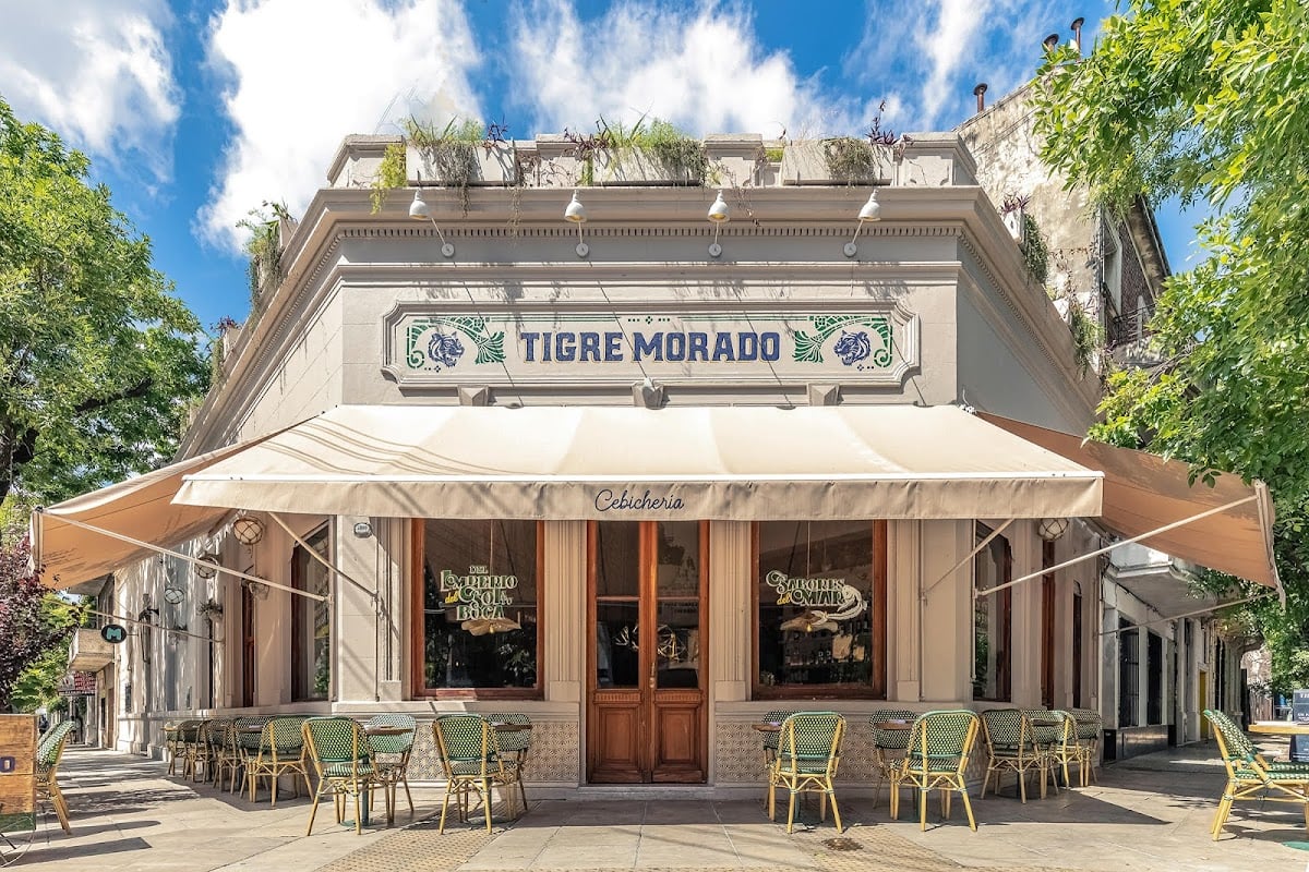 Tigre Morado
