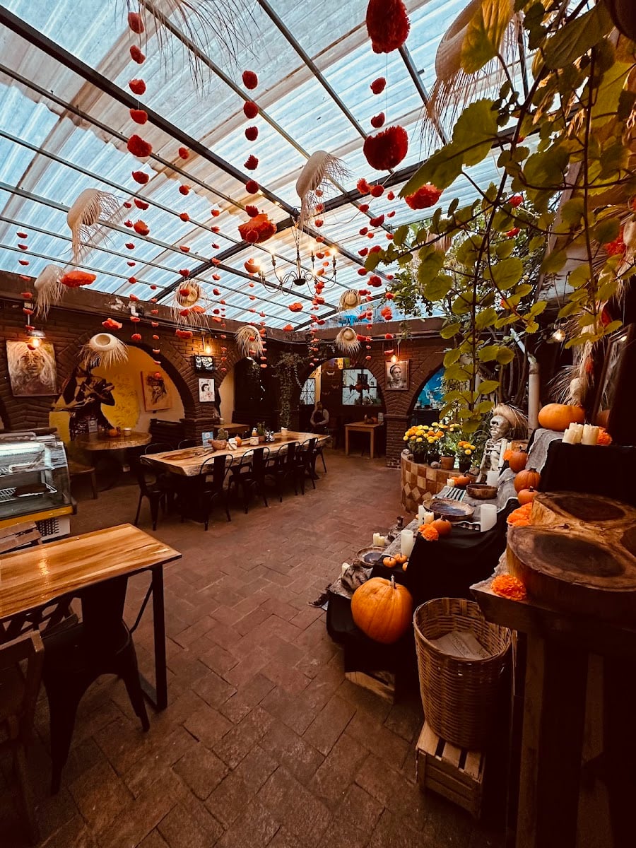Café ARMINA by Qba