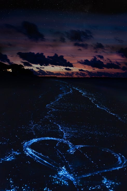 Vaadhoo - Mar estrelado