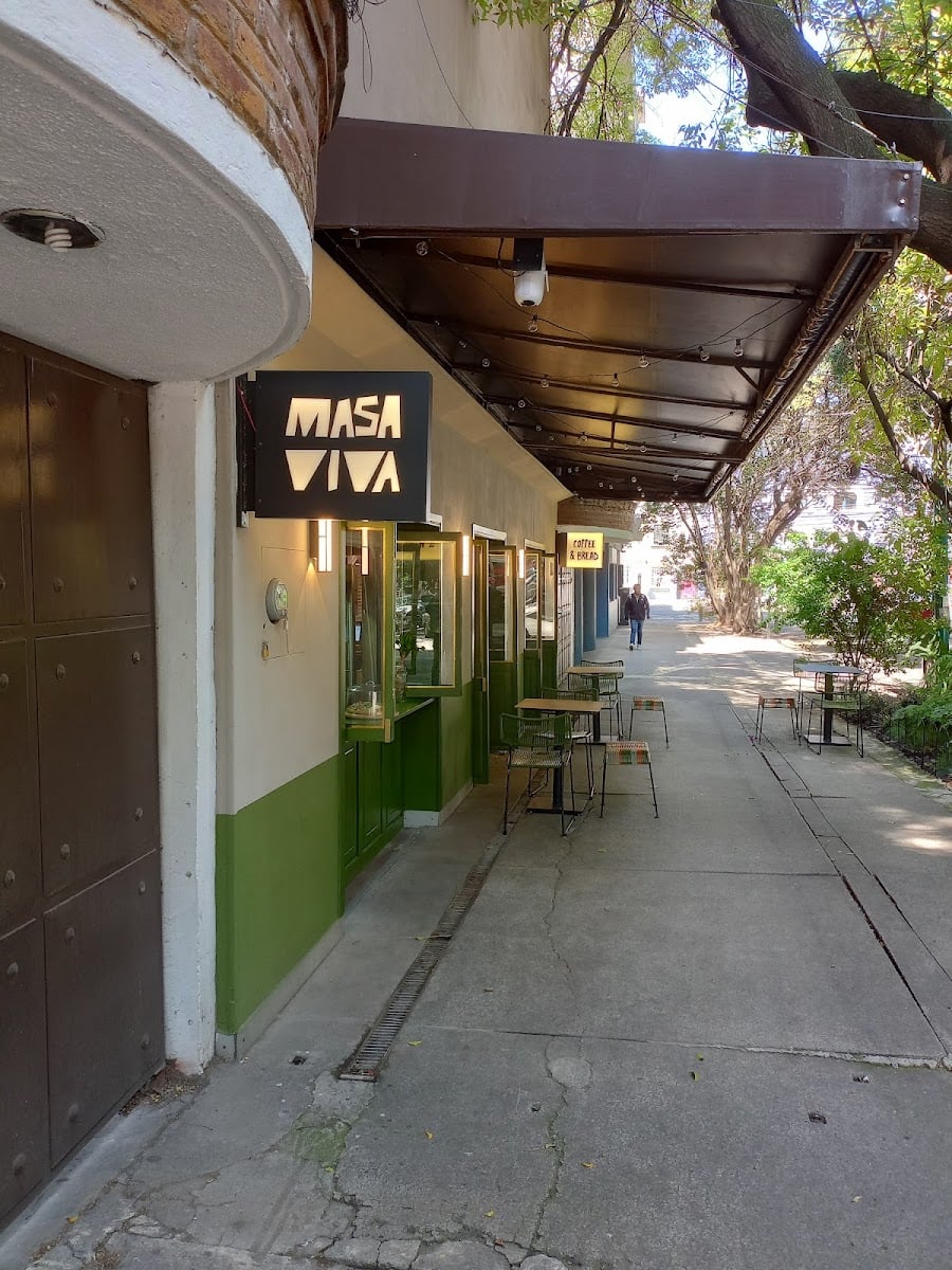Masa viva