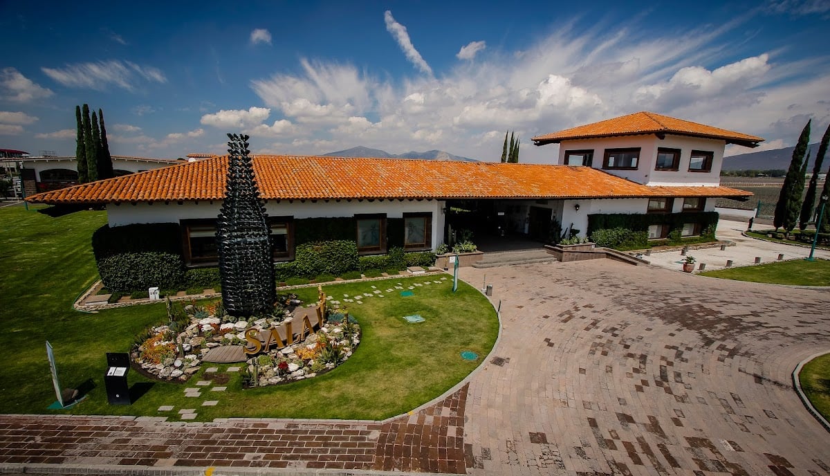 Viñedo Sala Vivé