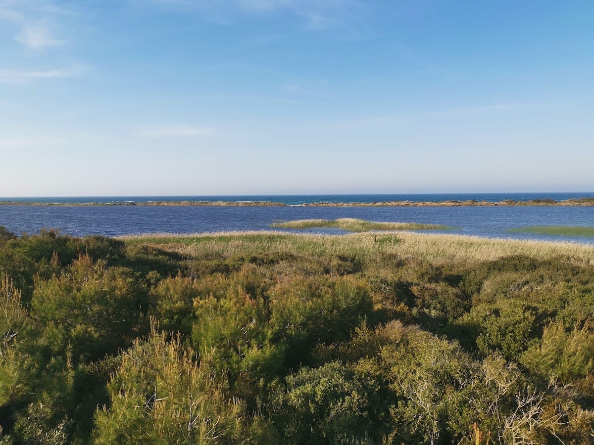 Riserva Naturale Le Cesine