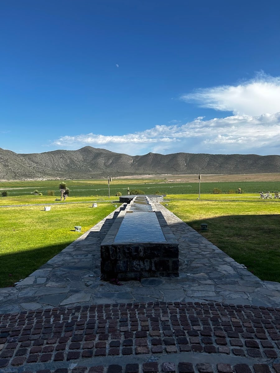 Don Leo - Parras de la Fuente, Coahuila