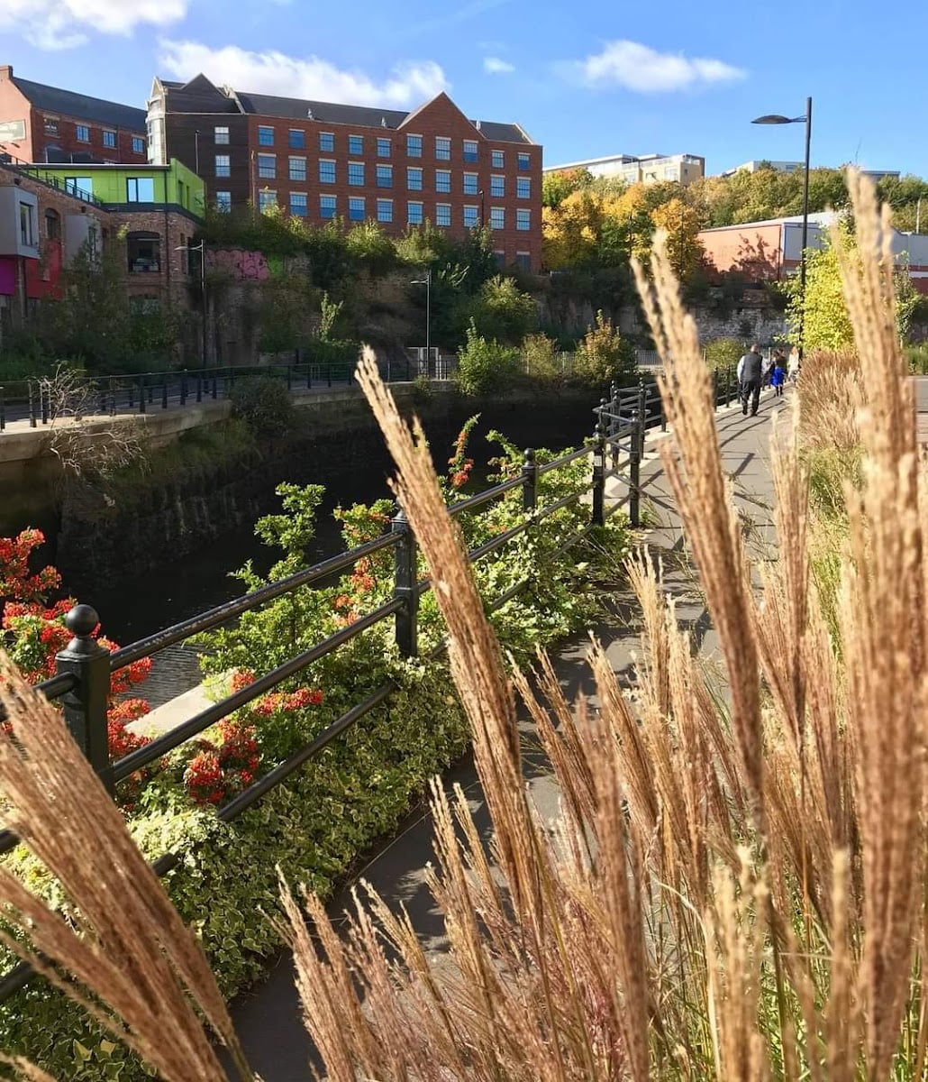 Ouseburn - Sight