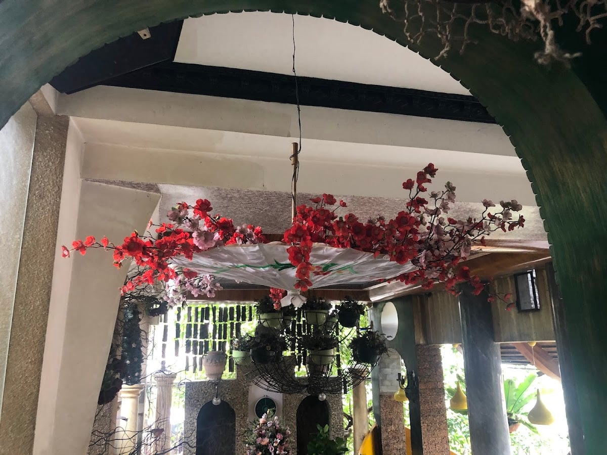 Oasis Cafe - Koi Fish Cafe