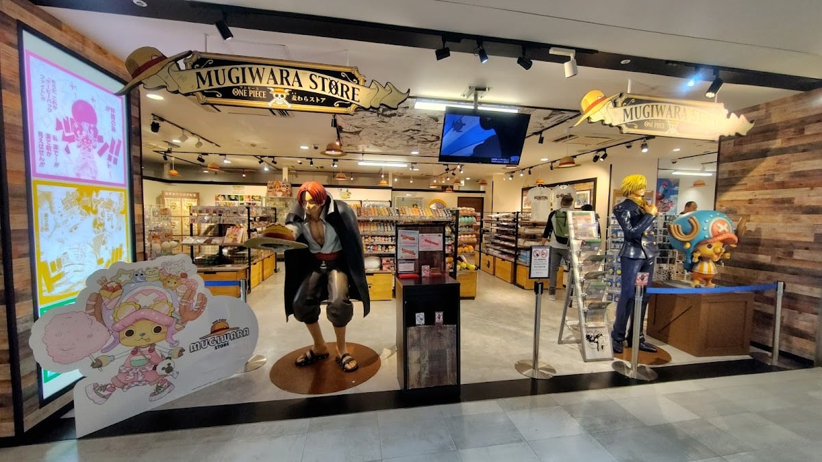 ONE PIECE Straw Hat Store  - Favv