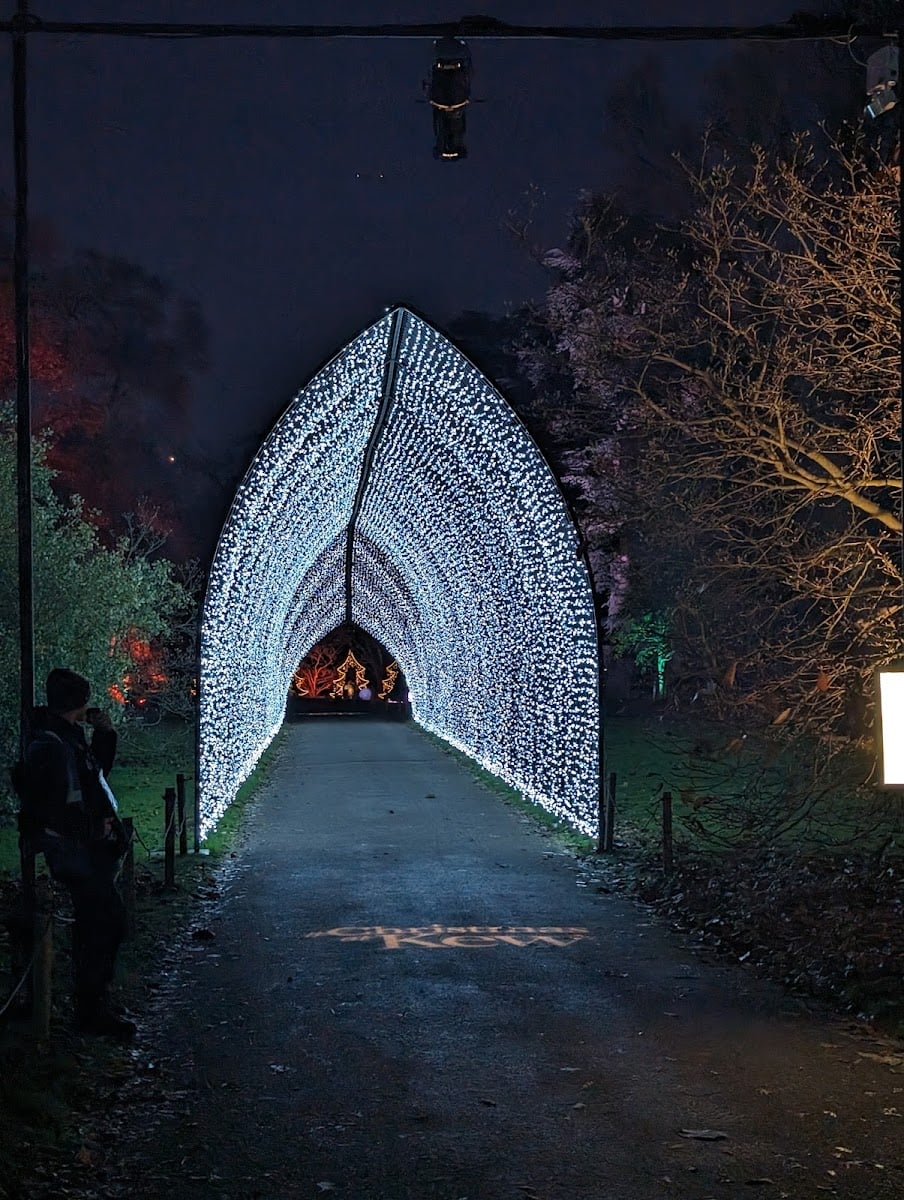 Christmas at Kew