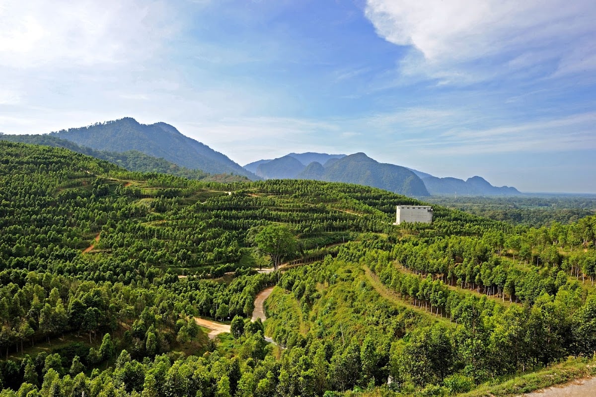 HOGA, Gaharu Tea Valley Gopeng