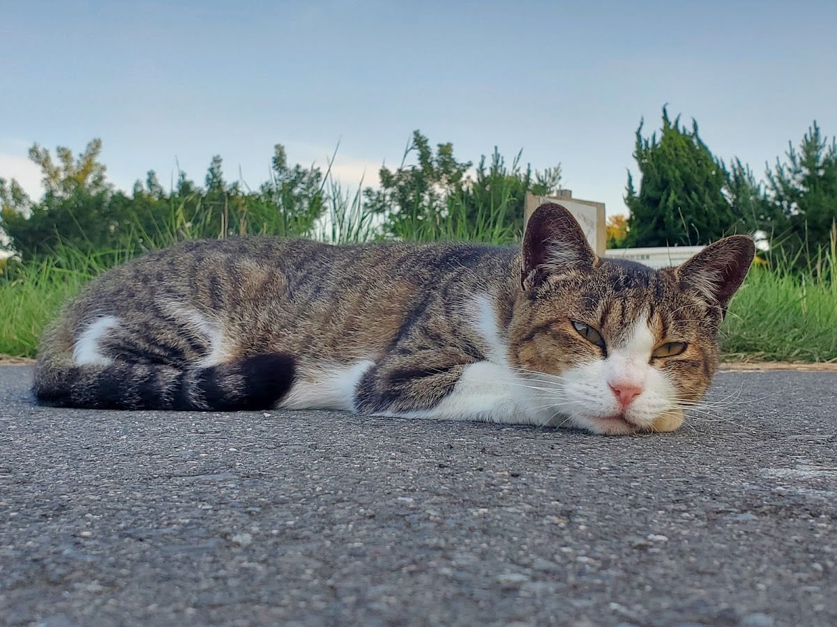 Tashirojima Island