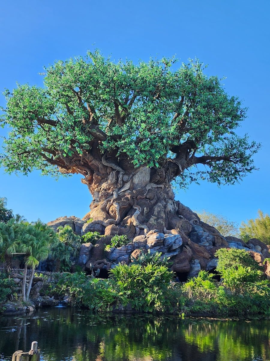Animal Kingdom Costuming
