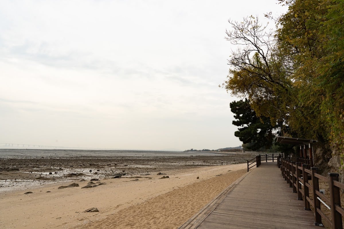 Yeongdongjin beach