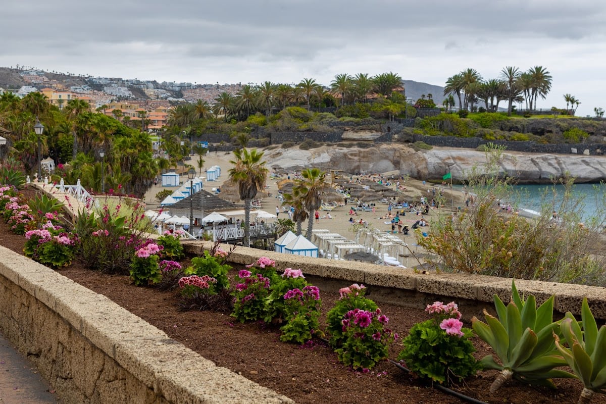 Playa del duque