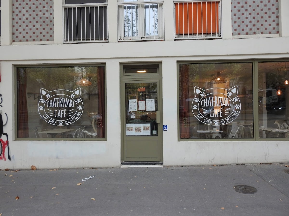 Le Chat-Rivari Café - Restaurant chat