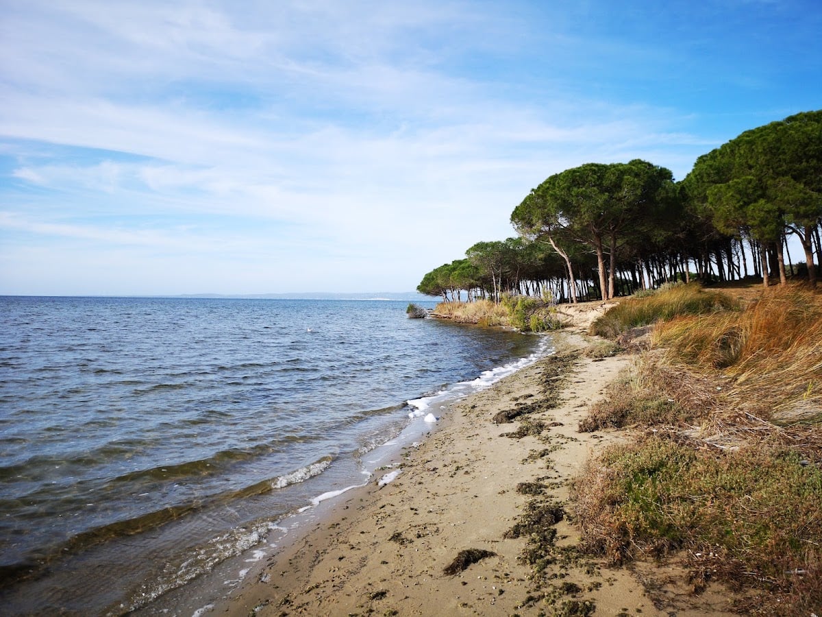 Spiaggia di Corongiuali