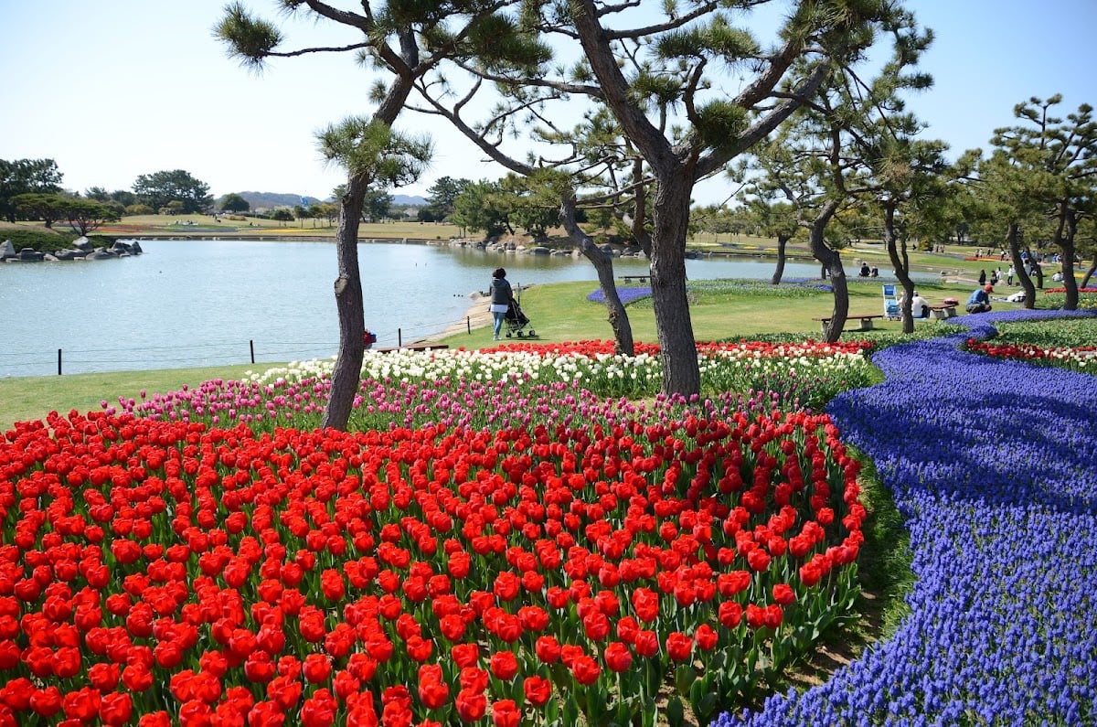 Uminonakamichi Seaside Park