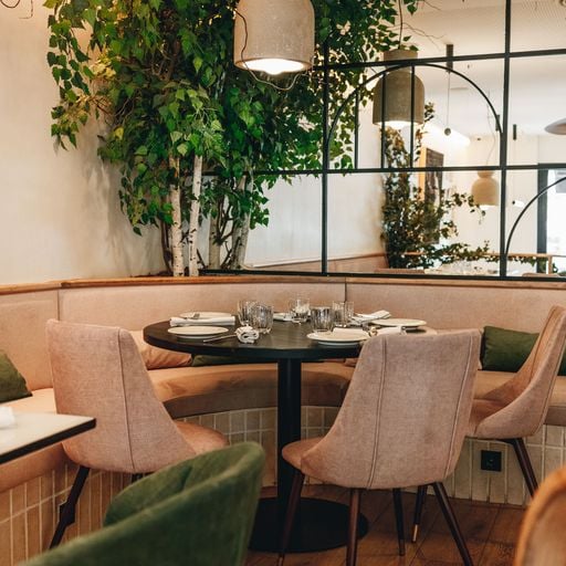 La Raquetista I Restaurante Barrio Salamanca