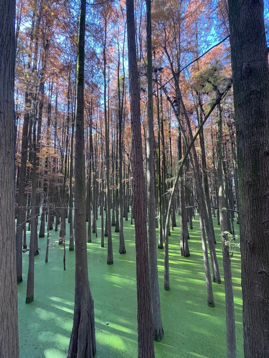 Qingshanhu Scenic Spot