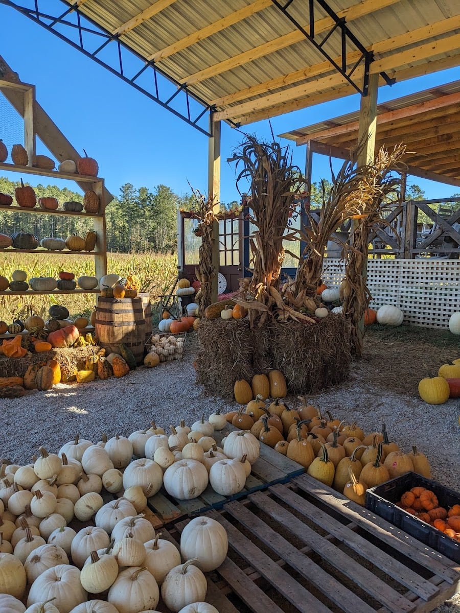 Sleepy Hollow Farm 🚜 - Powder Springs, GA