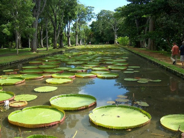 Mauritius Island