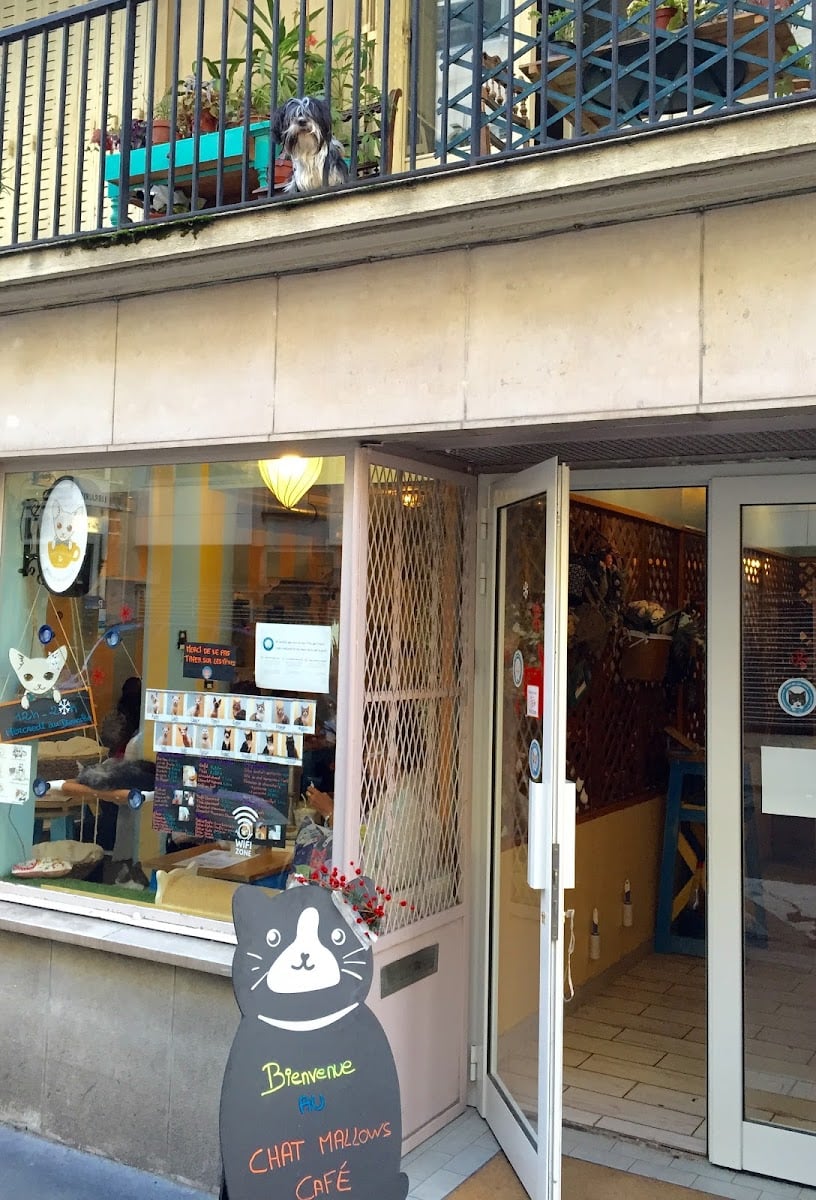 Chat Mallows Café 10€/pers Age 6+ only