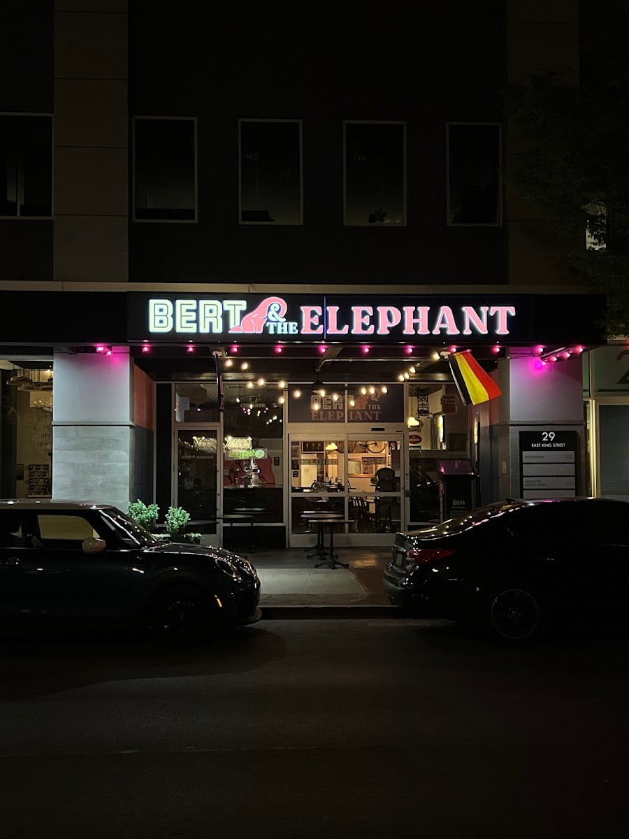 Bert & The Elephant