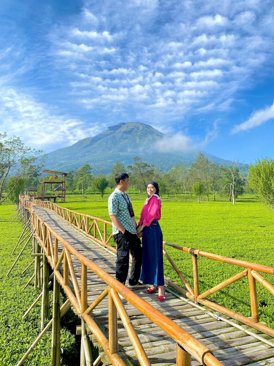 Wisata Alam Kebun Teh Sikatok