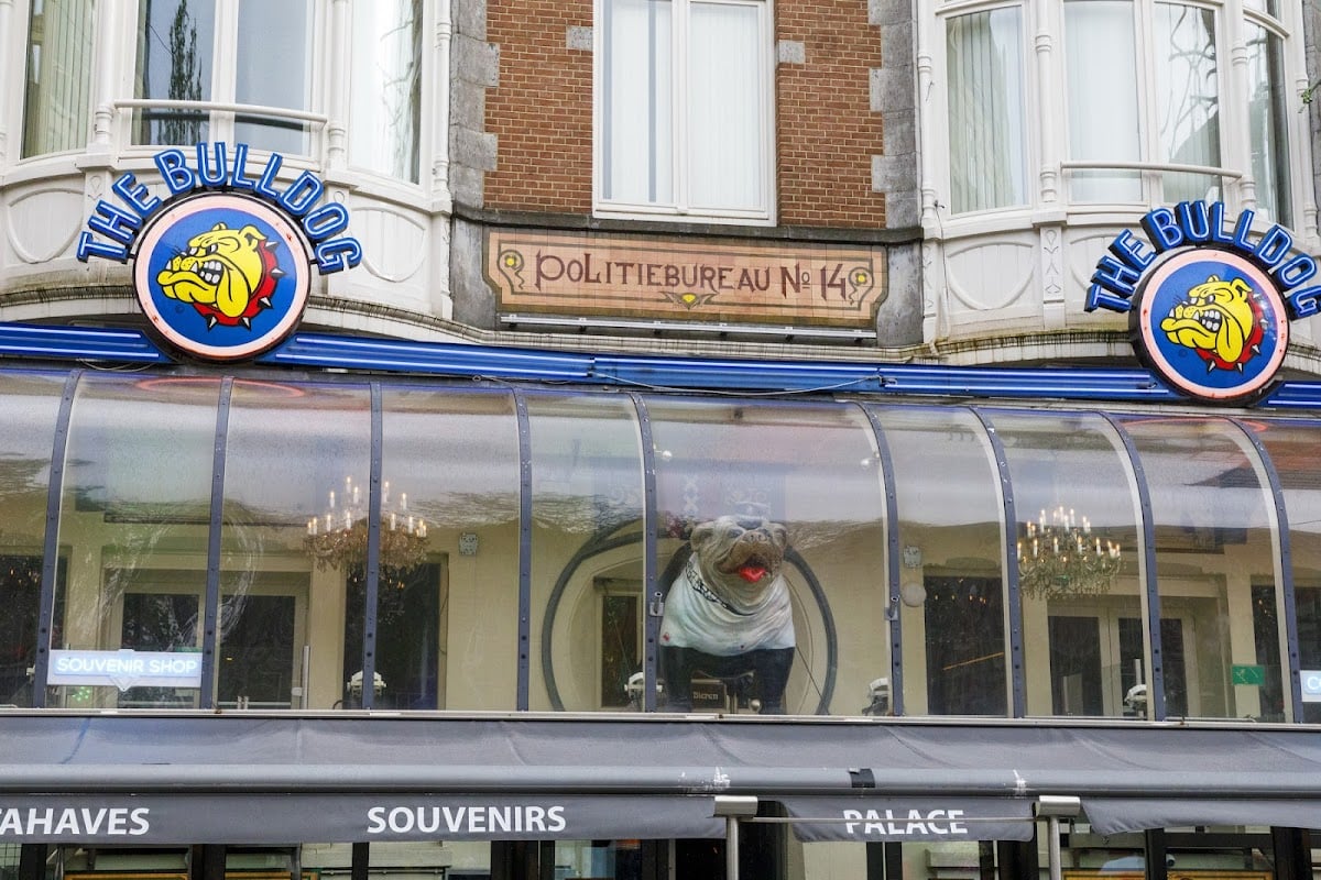 Bar The Bulldog Palace