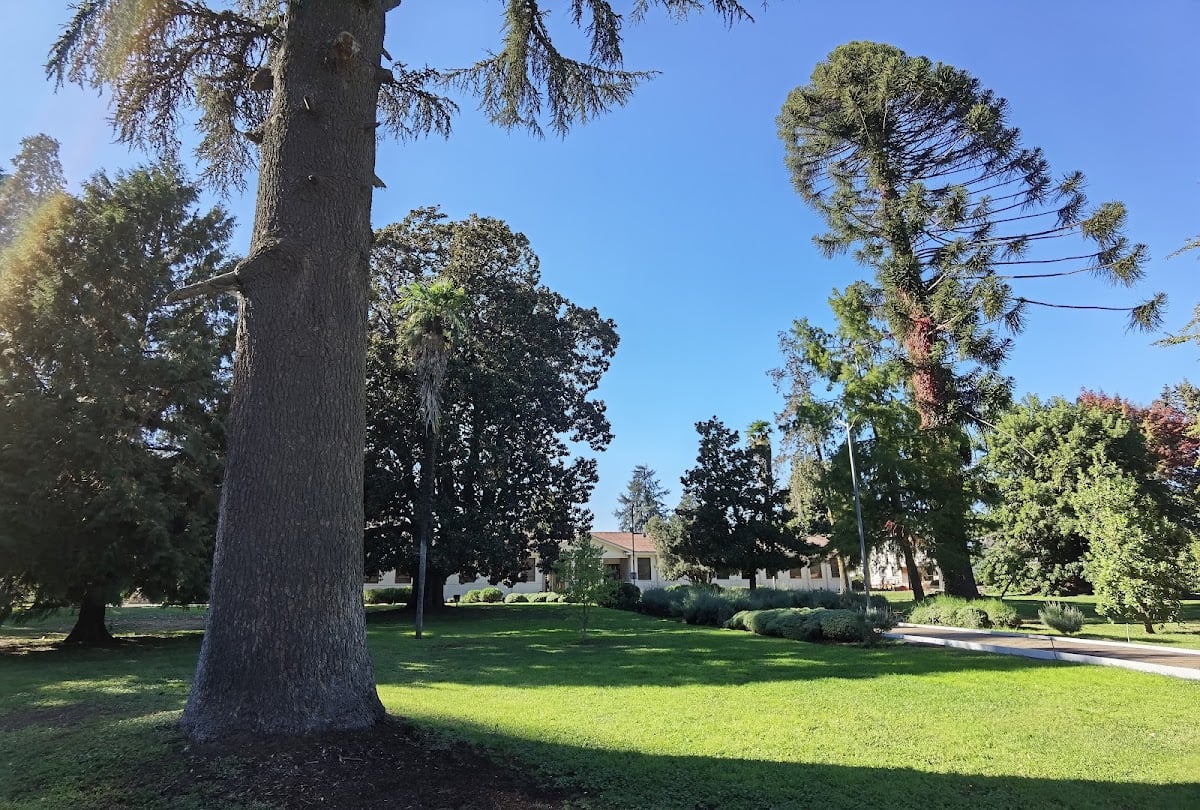 Universidad de Concepcion Campus Chillán